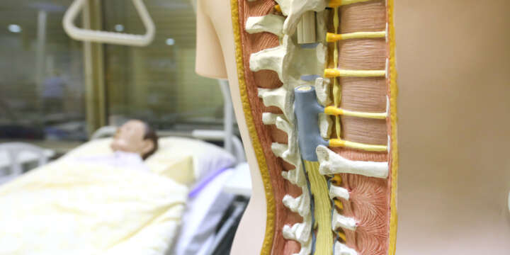 Navega Tu Recuperación con un Abogado de Lesiones de Médula Espinal de Jalilvand Law en Pasadena