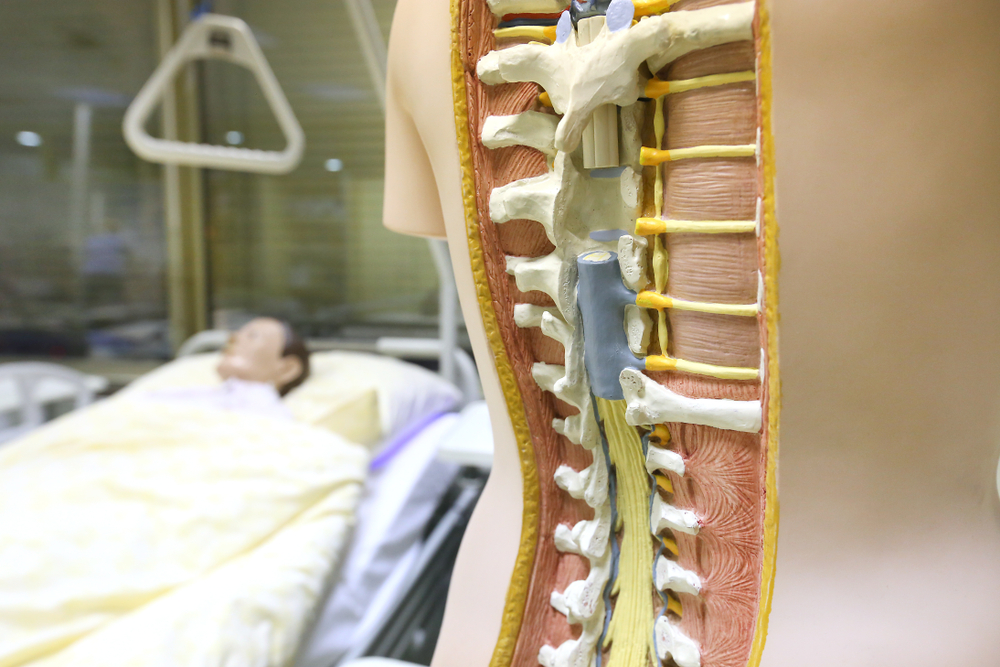 Navega Tu Recuperación con un Abogado de Lesiones de Médula Espinal de Jalilvand Law en Pasadena